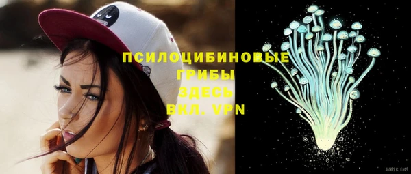 тгк Абдулино