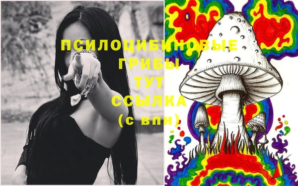 apvp Абинск